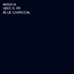 #02061A - Blue Charcoal Color Image